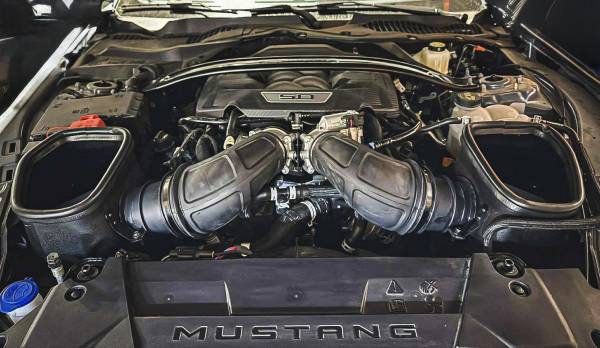 Whipple Superchargers Crusher Induction System (24+ Mustang)