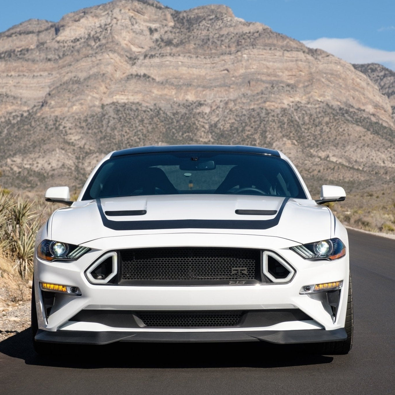 RTR Chin Spoiler (18-21 Mustang - Ecoboost & GT) - RTR Vehicles